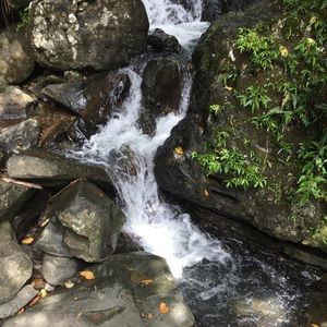 Meet your Posher, Ana